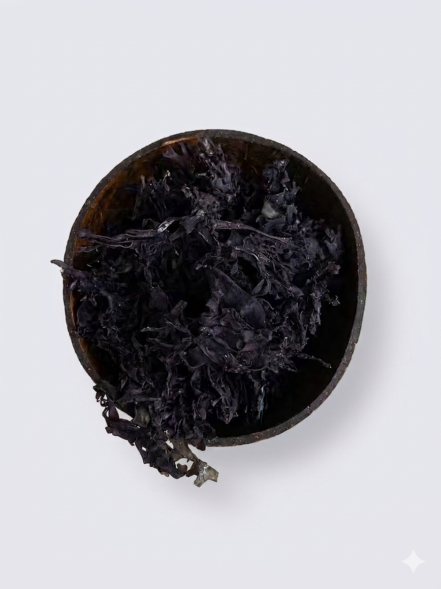 Purple Chondrus Crispus