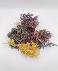 Full Spectrum Sea Moss