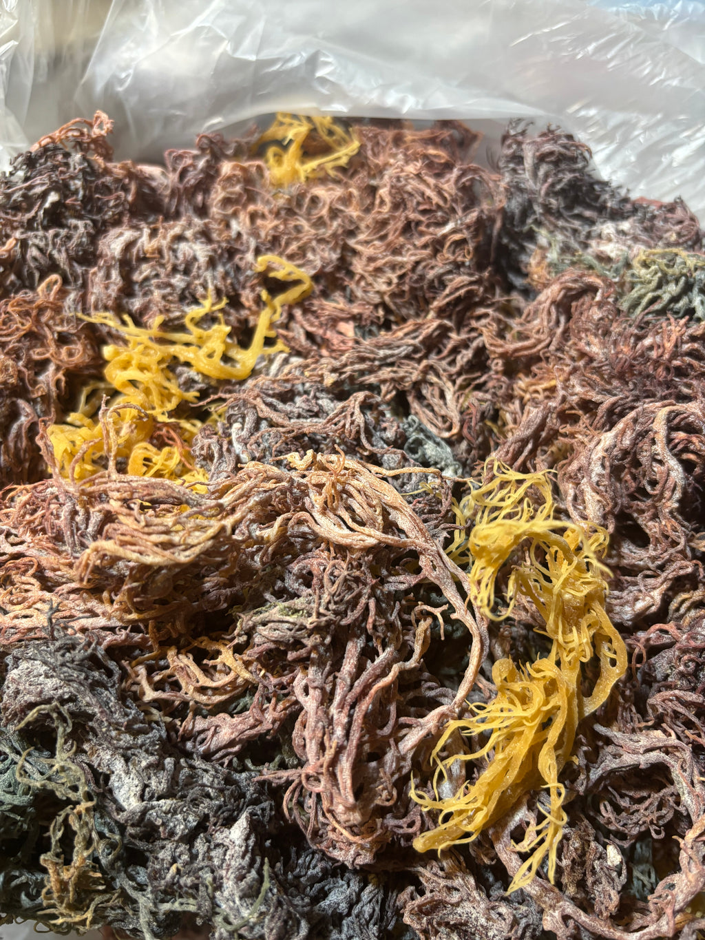 Full Spectrum Sea Moss