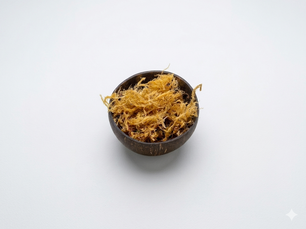 Thin Gracilaria Sea moss
