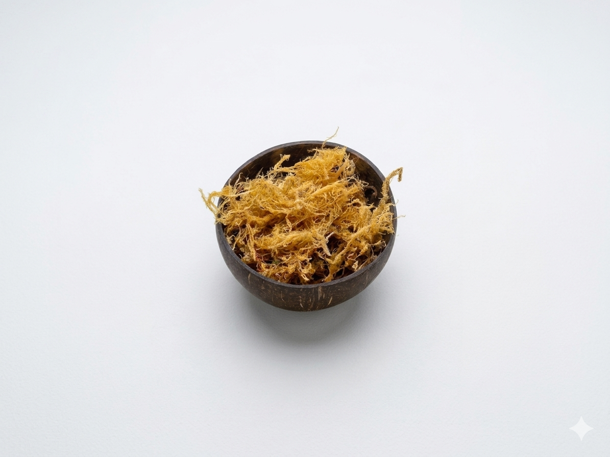 Thin Gracilaria Sea moss