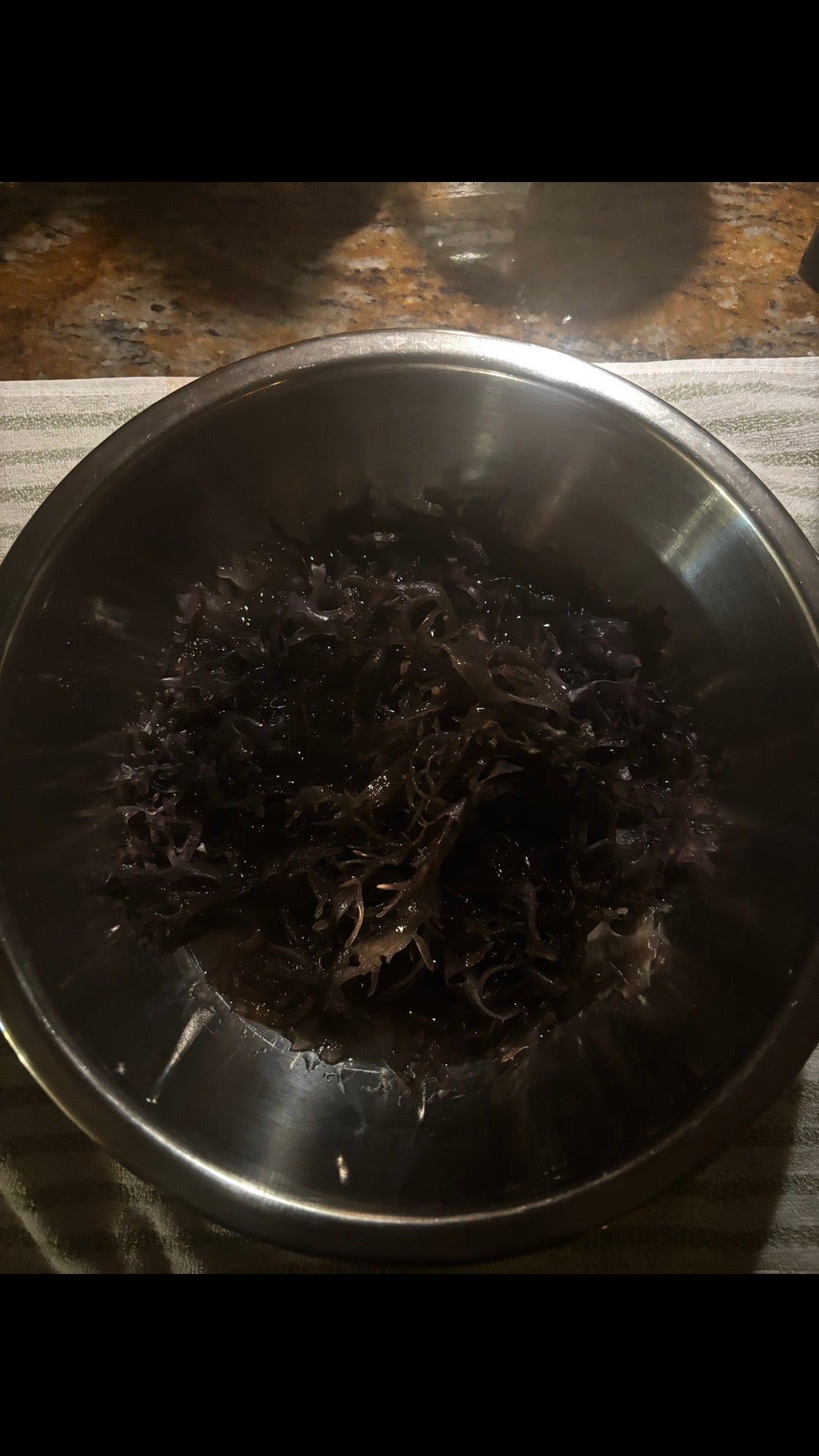 Purple Chondrus Crispus