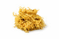 Golden chondrus crispus