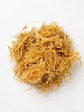 Thin Gracilaria Sea moss